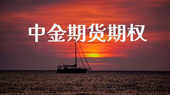 中金期货期权_https://www.apanben.com_国际期货_第1张