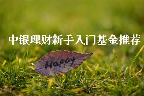 中银理财新手入门基金推荐_https://www.apanben.com_国际财经_第1张