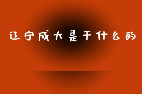 辽宁成大是干什么的_https://www.apanben.com_股市分析_第1张