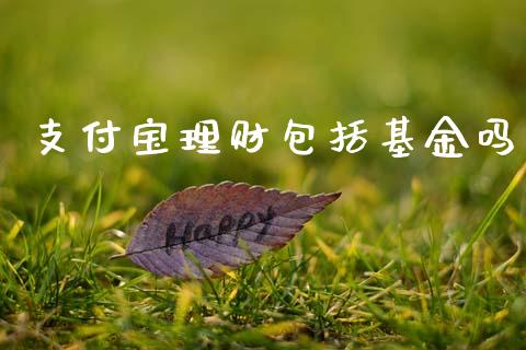 支付宝理财包括基金吗_https://www.apanben.com_国际财经_第1张