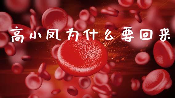 高小凤为什么要回来_https://www.apanben.com_股市分析_第1张