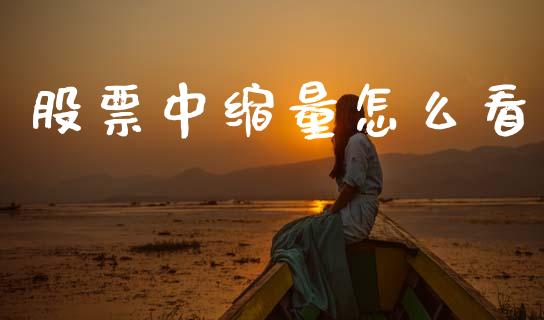 股票中缩量怎么看_https://www.apanben.com_股市分析_第1张