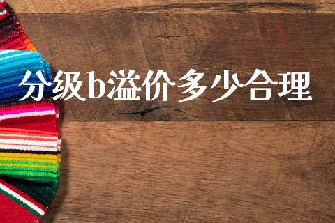 分级b溢价多少合理_https://www.apanben.com_在线喊单_第1张