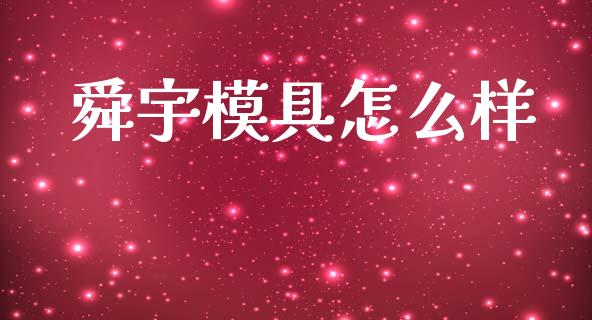 舜宇模具怎么样_https://www.apanben.com_国际财经_第1张