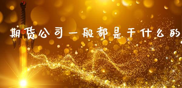 期货公司一般都是干什么的_https://www.apanben.com_期货学院_第1张