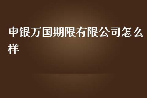 申银万国期限有限公司怎么样_https://www.apanben.com_期货学院_第1张