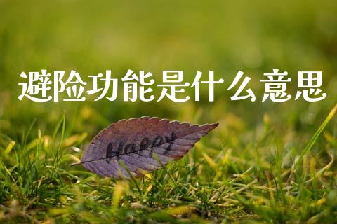 避险功能是什么意思_https://www.apanben.com_股市指导_第1张