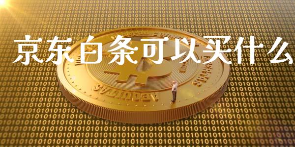 京东白条可以买什么_https://www.apanben.com_股市指导_第1张
