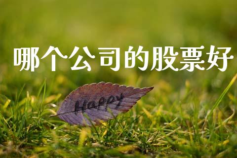 哪个公司的股票好_https://www.apanben.com_在线喊单_第1张