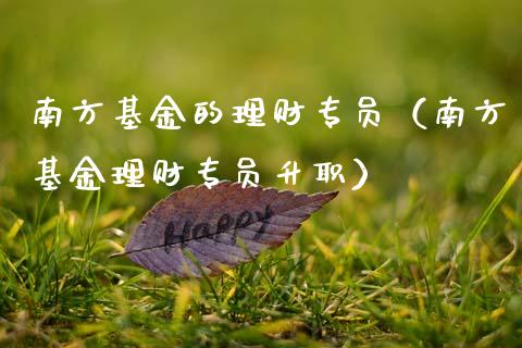 南方基金的理财专员（南方基金理财专员升职）_https://www.apanben.com_财经资讯_第1张