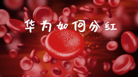 华为如何分红_https://www.apanben.com_股市指导_第1张