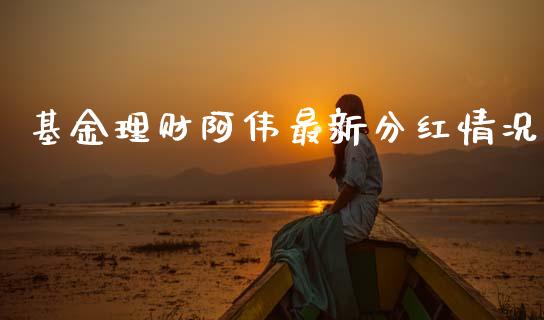基金理财阿伟最新分红情况_https://www.apanben.com_财经资讯_第1张