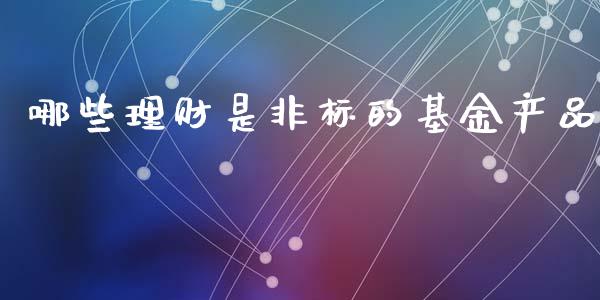 哪些理财是非标的基金产品_https://www.apanben.com_财经资讯_第1张