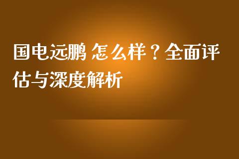 国电远鹏 怎么样？全面评估与深度解析_https://www.apanben.com_国际财经_第1张