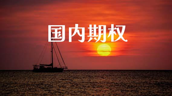 国内期权_https://www.apanben.com_股票怎么玩_第1张