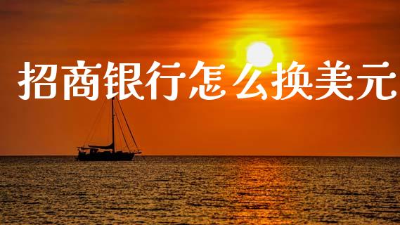 招商银行怎么换美元_https://www.apanben.com_国际财经_第1张