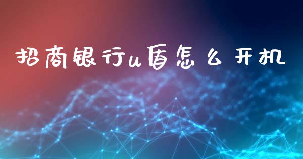 招商银行u盾怎么开机_https://www.apanben.com_股市指导_第1张