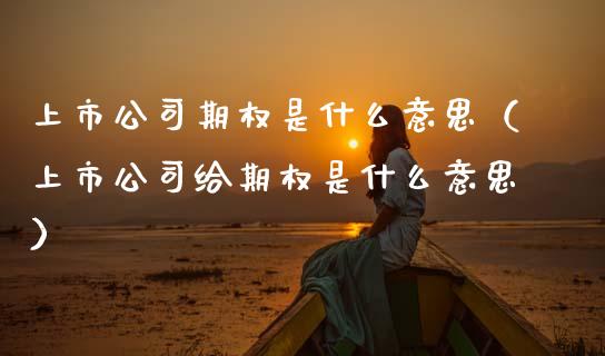 上市公司期权是什么意思（上市公司给期权是什么意思）_https://www.apanben.com_期货学院_第1张