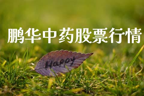 鹏华中药股票行情_https://www.apanben.com_股票怎么玩_第1张