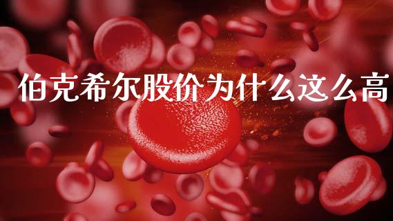 伯克希尔股价为什么这么高_https://www.apanben.com_股市分析_第1张
