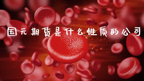国元期货是什么性质的公司_https://www.apanben.com_股票怎么玩_第1张