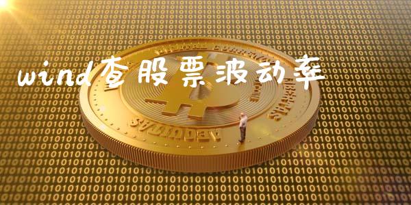 wind查股票波动率_https://www.apanben.com_在线喊单_第1张
