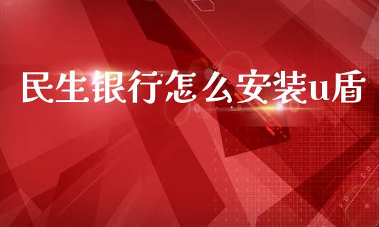 民生银行怎么安装u盾_https://www.apanben.com_国际期货_第1张