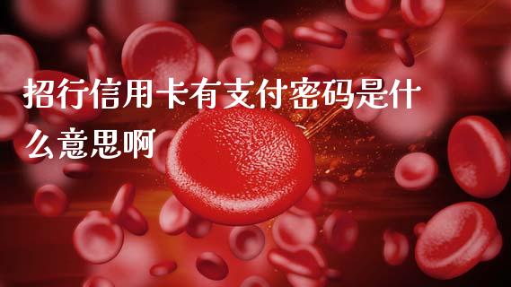 招行信用卡有支付密码是什么意思啊_https://www.apanben.com_期货学院_第1张