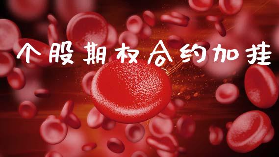 个股期权合约加挂_https://www.apanben.com_股票怎么玩_第1张