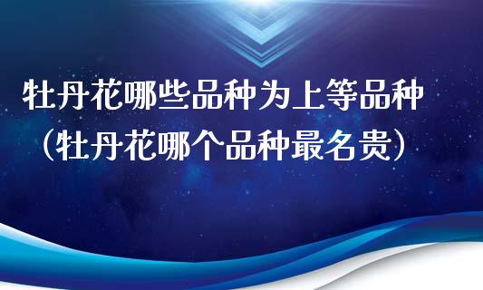 牡丹花哪些品种为上等品种（牡丹花哪个品种最名贵）_https://www.apanben.com_国际期货_第1张