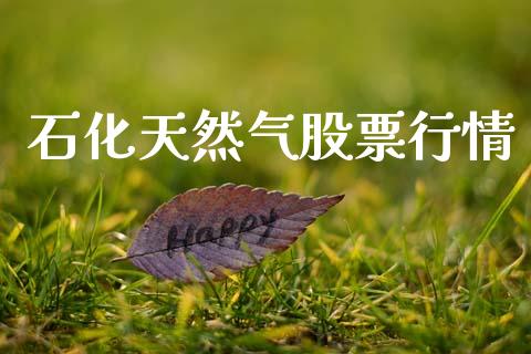 石化天然气股票行情_https://www.apanben.com_股市分析_第1张