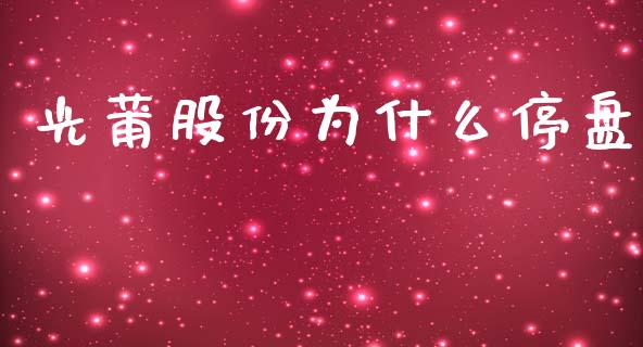 光莆股份为什么停盘_https://www.apanben.com_股市分析_第1张