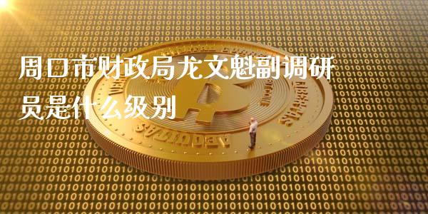 周口市财政局龙文魁副调研员是什么级别_https://www.apanben.com_期货学院_第1张