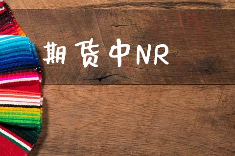 期货中NR_https://www.apanben.com_股票怎么玩_第1张