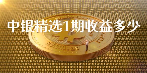 中银精选1期收益多少_https://www.apanben.com_股市分析_第1张