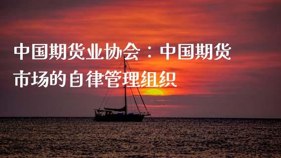 中国期货业协会：中国期货市场的自律管理组织_https://www.apanben.com_股市分析_第1张