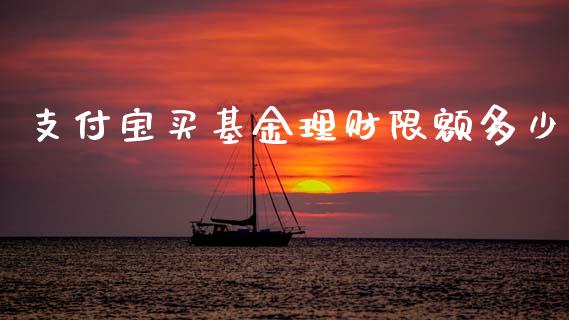 支付宝买基金理财限额多少_https://www.apanben.com_财经资讯_第1张