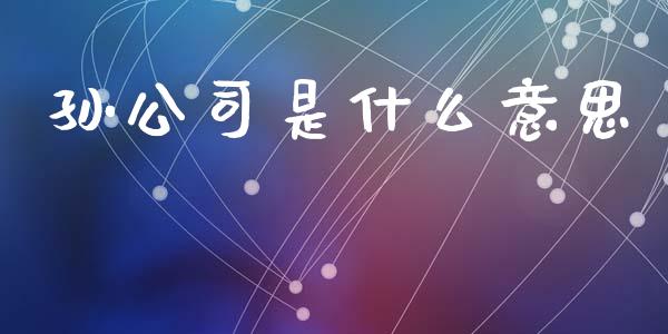 孙公司是什么意思_https://www.apanben.com_财经资讯_第1张