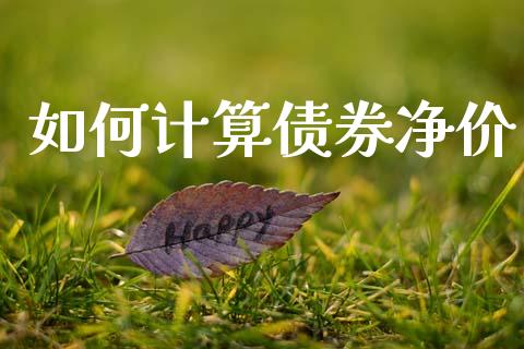 如何计算债券净价_https://www.apanben.com_在线喊单_第1张