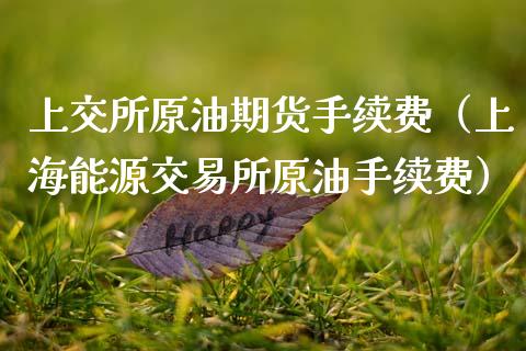 上交所原油期货手续费（上海能源交易所原油手续费）_https://www.apanben.com_期货学院_第1张