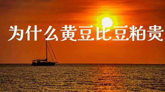 为什么黄豆比豆粕贵_https://www.apanben.com_财经资讯_第1张