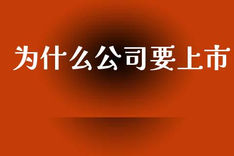 为什么公司要上市_https://www.apanben.com_股市分析_第1张