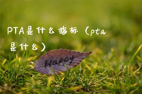 PTA是什么指标（pta是什么）_https://www.apanben.com_期货学院_第1张