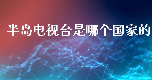 半岛电视台是哪个国家的_https://www.apanben.com_国际财经_第1张