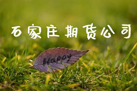 石家庄期货公司_https://www.apanben.com_股市指导_第1张