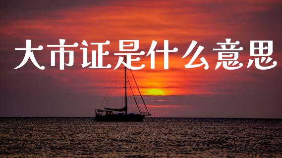 大市证是什么意思_https://www.apanben.com_国际财经_第1张