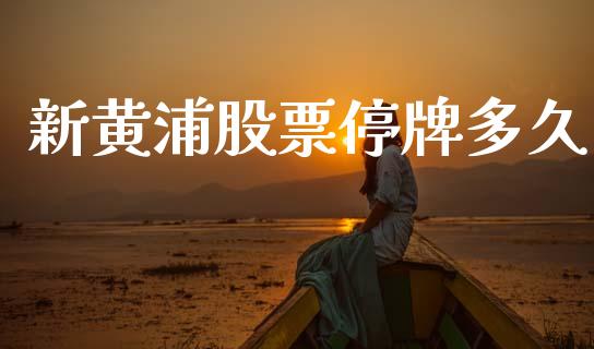 新黄浦股票停牌多久_https://www.apanben.com_股市分析_第1张