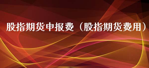 股指期货申报费（股指期货费用）_https://www.apanben.com_期货学院_第1张