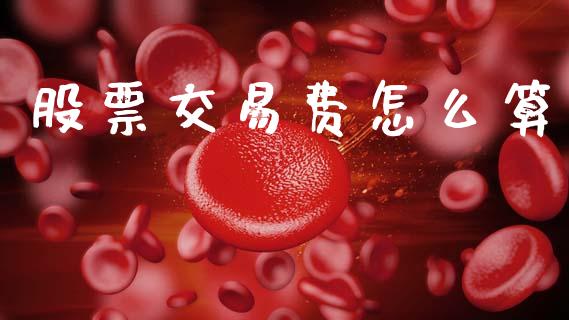 股票交易费怎么算_https://www.apanben.com_期货学院_第1张