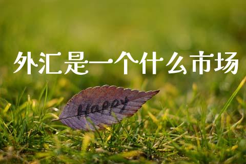 外汇是一个什么市场_https://www.apanben.com_股市指导_第1张